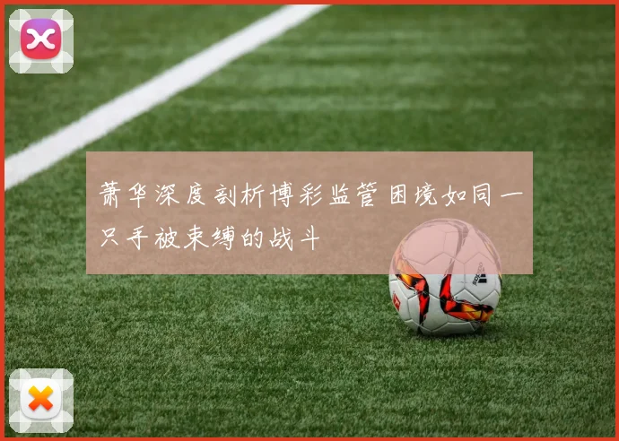 萧华深度剖析博彩监管困境如同一只手被束缚的战斗