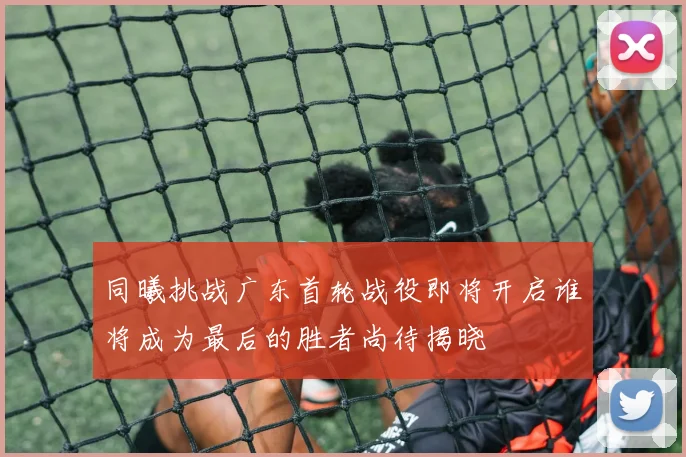 同曦挑战广东首轮战役即将开启谁将成为最后的胜者尚待揭晓