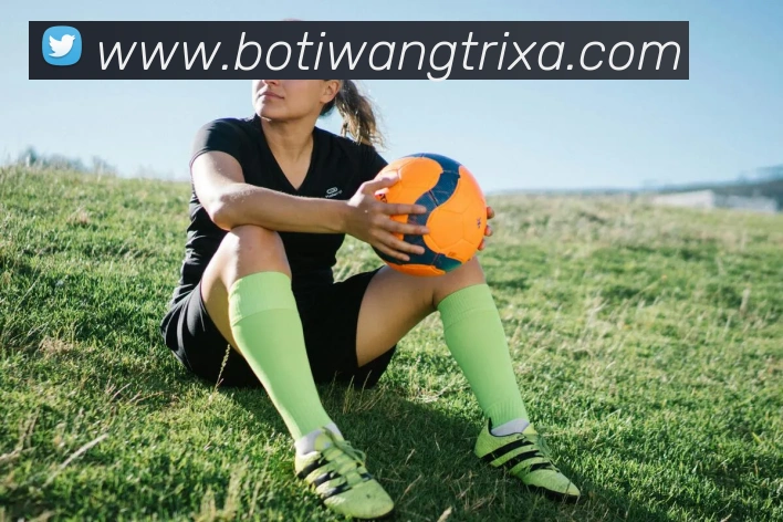 博体网品牌故事