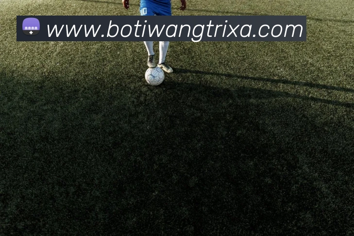 博体网服务体系