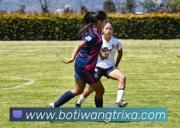 博体网APP 体育赛事宣传图